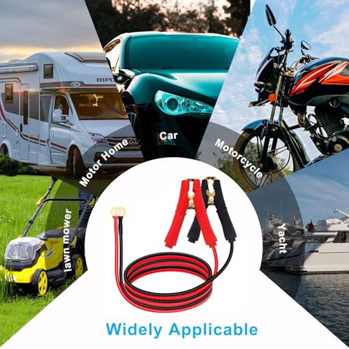 12AWG Battery Alligator Clips to O Ring 8mm Battery Power Clamp Cables 12V 24V, Apply to Inverter, Motorcycle, Car, Solar Controller is Connected (1 m /3.2FT) - size: 1 m /3.2FT