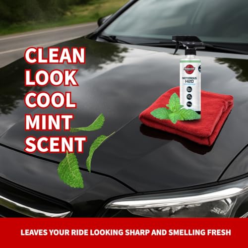 Renegade Products Notorious Waterless Wash for Auto Detailing Scratch Free Clean Mint Scent 16 oz