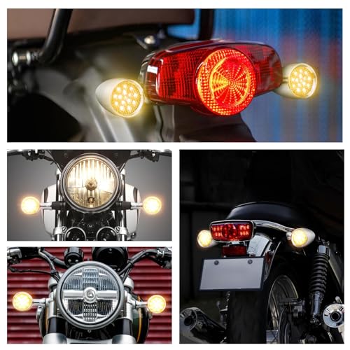 Rich Choices 2pcs Chrome 15 LED Motorcycle Stop Brake Running Turn Signal Indicator Amber Lights For Harley Honda Chopper (Chrome with net-Amber Light) - color: Chrome with net-Amber Light