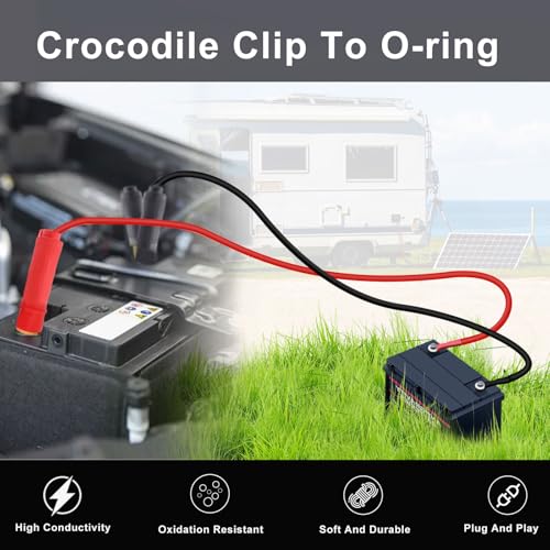 12AWG Battery Alligator Clips to O Ring 8mm Battery Power Clamp Cables 12V 24V, Apply to Inverter, Motorcycle, Car, Solar Controller is Connected (3 m /9.8FT) - size: 3 m /9.8FT