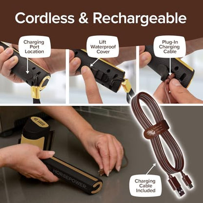 Horsepower Giddy Up GOLD Bristle-Free Spinning Grill Brush w/LED & Longer Run Time, Cordless/Rechargeable, 304 Stainless Steel Power Roller Blasts Away Burnt-On Food, No Bristles No Preheating 350 RPM - style: Extra Battery Life