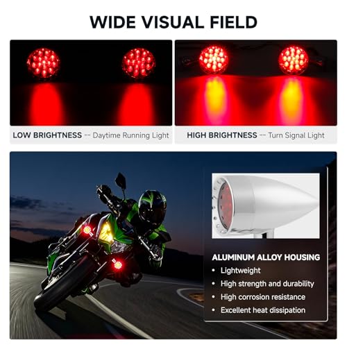 Rich Choices 2pcs Chrome 15 LED Motorcycle Stop Brake Running Turn Signal Indicator Red Lights For Harley Honda Chopper (Chrome-Red Light) - color: Chrome-Red Light