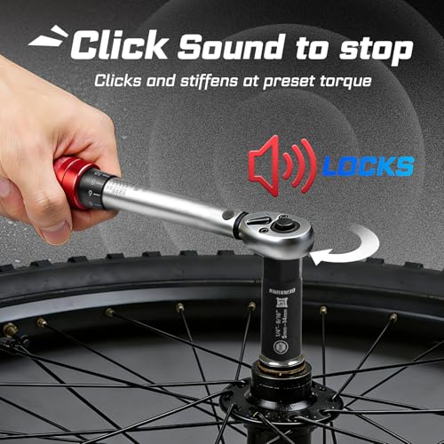 GEINXURN 1/4 In. Drive Click Torque Wrench Set, 20-240 IN.LB Dual-Direction Bike Maintenance Kit，66Pcs with Universal Socket, Screwdriver Bits for Bicycle, Car, Moto - style: GX-TW0104RS66-US