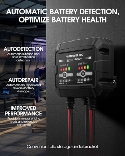 2-Bank, 4A (2A/Bank) Trickle Charger for Car Battery, 12V 6V Car Battery Charger, Automotive Battery Trickle Charger, Maintainer, for Motorcycle Lawn Mower AGM, Lithium Batteries-1PC
