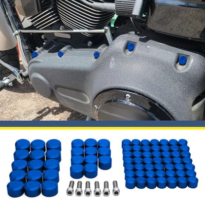 Motorcycle Bolt Covers Engine Bolt Head Toppers Caps Kit Fit for Harley 2007-2016 Touring Street Glide Road Glide Road King Electra Glide FLT FLH (Blue) - color: Blue