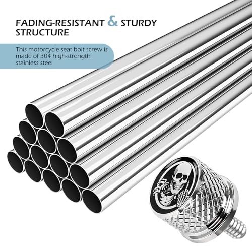 Motorcycle Seat Bolt, 1/4"-20 Stainless Steel Skull Knurled Hand-Tighten Screw, Compatible with Harley Touring Sportster Dyna Softail Models, Chrome Replacement Fender Bolt (Silver) - color: Silver