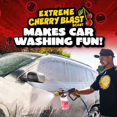 Chemical Guys Maxi Suds II Foaming Car Wash Soap – High Foam Car Wash Soap, Cherry Scent Shampoo and Gloss Booster for Foam Cannons, Guns or Buckets – Gentle, Safe for Trucks, SUVs, and RVs, 64 oz - size: 64 Fl Oz (Pack of 1), style: Only