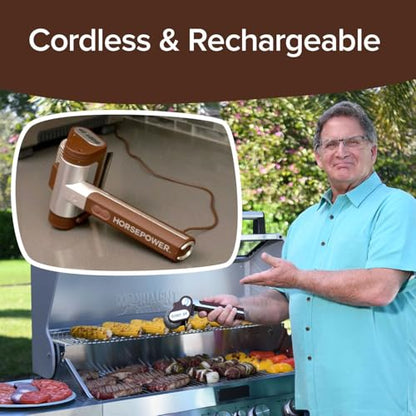 Horsepower Giddy Up GOLD Bristle-Free Spinning Grill Brush w/LED & Longer Run Time, Cordless/Rechargeable, 304 Stainless Steel Power Roller Blasts Away Burnt-On Food, No Bristles No Preheating 350 RPM - style: Extra Battery Life
