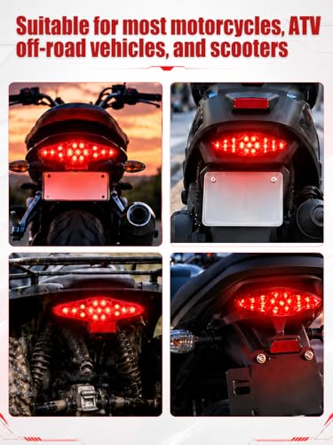 Watris Veiyi 12V Motorcycle Rear Brake Tail Light, Universal 15 LED Led Tail Brake Light for ATV Dirt Bike(Red)