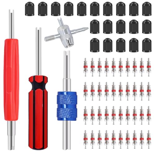 64PCS Tire Valve Stem Removal Tool Kit - 40PCS Tire Valve Cores, 20PCS Valve Stem Caps, 4-Way Valve Tool, Single and Dual Heads Valve Core Remover Tire Repair Tool - size: 64PCS