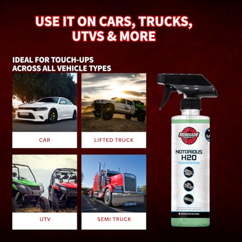 Renegade Products Notorious Waterless Wash for Auto Detailing Scratch Free Clean Mint Scent 16 oz