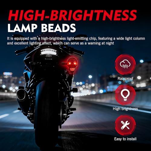 2 PCS Motorcycle Skull Turn Signal Light, 10 mm Screw LED Turn Signal Lamp with Red DRL & Amber Direction Warning, Universal for Scooter Dirt Bike (Red & Amber) - color: Red & Amber