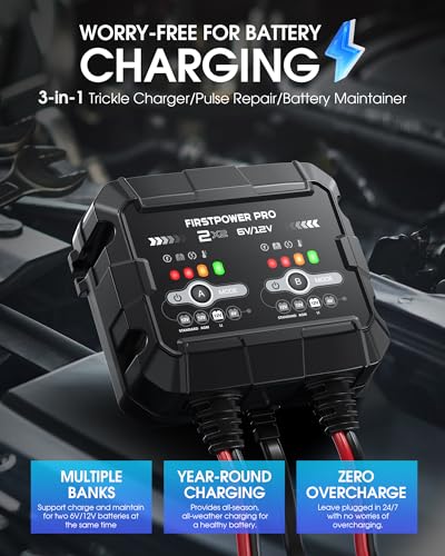 2-Bank, 4A (2A/Bank) Trickle Charger for Car Battery, 12V 6V Car Battery Charger, Automotive Battery Trickle Charger, Maintainer, for Motorcycle Lawn Mower AGM, Lithium Batteries-1PC