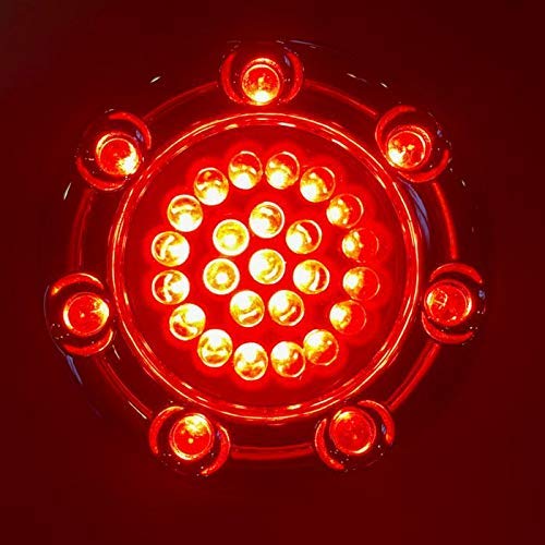 Eagle Lights 2 Inch Bullet Rear Infinity Beam LED Turn Signals and Brake Lights with LED Ring Covers for Harley Davidson - Black / 1157 Base - color: Black
