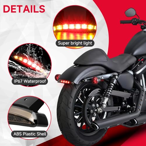 Motorcycle Chopped Rear Fender Edge LED Brake License Plate Tail Light Stop Running Light Turn Signal Lamp Compatible with Harley Sportster XL883N 1200N XL1200V XL1200X (Smoke Lens) - color: Smoke Lens#1