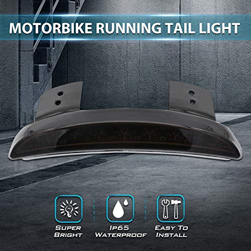 1PC Motorcycle Tail Light Chopped Rear Fender Edge LED Brake Light License Plate Light Stop Running Light for XL 883N 1200N XL1200V XL1200X (Smoke Shell) - size: NO.1-Smoke Shell