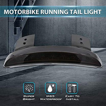 1PC Motorcycle Tail Light Chopped Rear Fender Edge LED Brake Light License Plate Light Stop Running Light for XL 883N 1200N XL1200V XL1200X (Smoke Shell) - size: NO.1-Smoke Shell