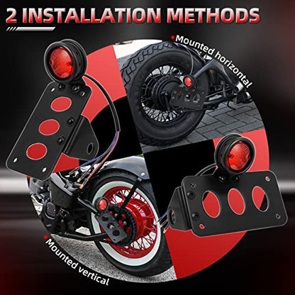 Amazicha LED Tail Rear Light 3/4" Axle Hole Side Mount License Plate Bracket Brake Light Motorcycle Compatible for Harley Honda Yamaha Suzuki Chopper Bobber - size: 0.75inch, style: Flat