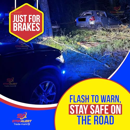 Brake Wave 36 - HEAVY DUTY 36 Light Selectable Flashes 10 AMPS Electronic Brake Flasher Tail & Stop Light Strobe - LED and Incandescent Lights for Cars, Trucks, Motorcycles 12-24V - color: Brake Wave 36