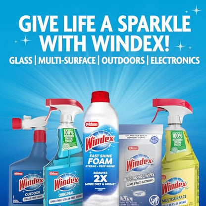Windex Auto Wipes for Car Windows, Mirrors and Screens, Pre-Moistened Car Cleaner Wipes for Quick Streak-Free Shine, Guaranteed Safe for Tinted Windows and Electronics, 25 count (Pack of 1) - size: 25 Count (Pack of 1)