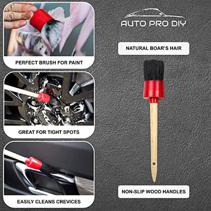 11 Piece Car Detailing Kit Set - Car Wheels, Exterior, Interior Cleaning Detail Supplies - Boars Hair, Stainless Steel Wire, Duster Brushes