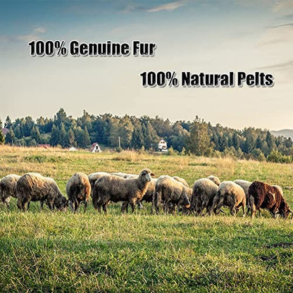 Real Genuine Sheepskin Rug Natural Fur Rug Sheep Skin Rugs Full Sheepskin Rugs Authentic Sheep Skin Throw Lambskin Seat Covers for Chairs Wool Seat Pad Cushion (2.3X3.28 ft) - color: 5