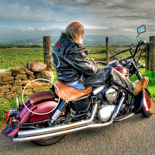 Motorcycle Pillion Passenger Pad Seat, Brown Crocodile Leather Pillion Pad w/ 8 Suction Cup Rear Passenger Seat Compatible with Harley Custom Bikes and More - size: Brown Crocodile