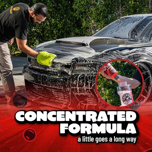 Chemical Guys Maxi Suds II Foaming Car Wash Soap – High Foam Car Wash Soap, Cherry Scent Shampoo and Gloss Booster for Foam Cannons, Guns or Buckets – Gentle, Safe for Trucks, SUVs, and RVs, 64 oz - size: 64 Fl Oz (Pack of 1), style: Only