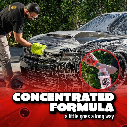 Chemical Guys Maxi Suds II Foaming Car Wash Soap – High Foam Car Wash Soap, Cherry Scent Shampoo and Gloss Booster for Foam Cannons, Guns or Buckets – Gentle, Safe for Trucks, SUVs, and RVs, 64 oz - size: 64 Fl Oz (Pack of 1), style: Only